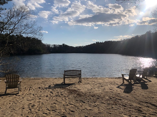 Late afternoon at pond