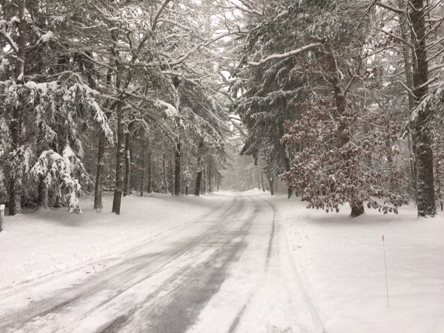 Winter walking trails