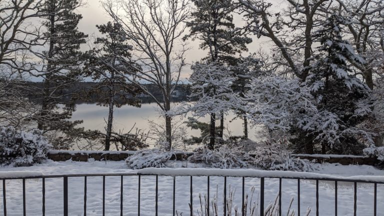 Winter scene of pond from Manor House