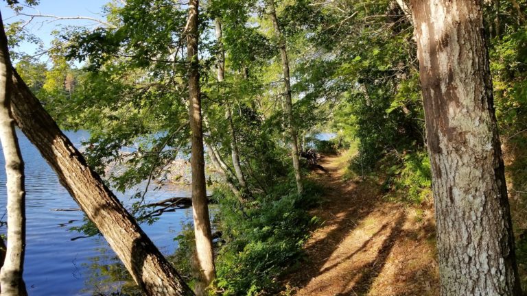 Trails along the pond