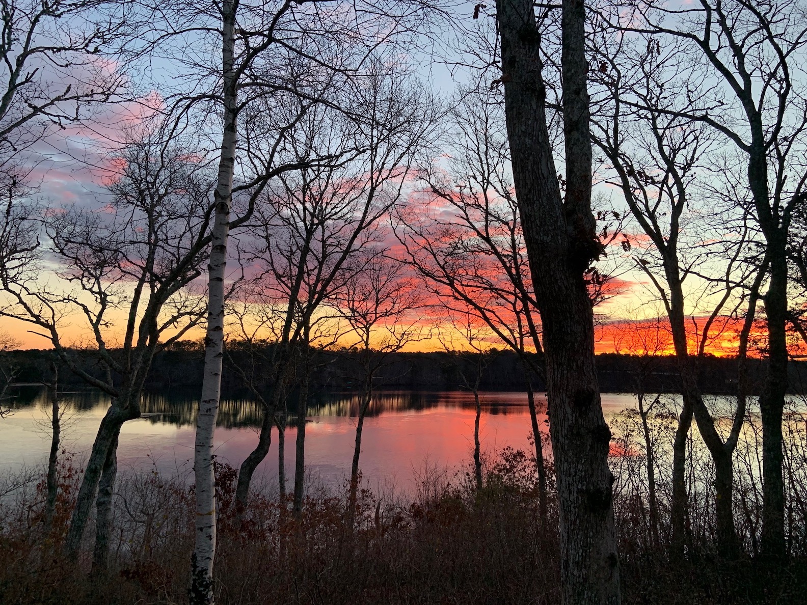 Sunset over the pond